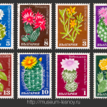 Серия марок «Cactuses». Болгария, 30.04.1970