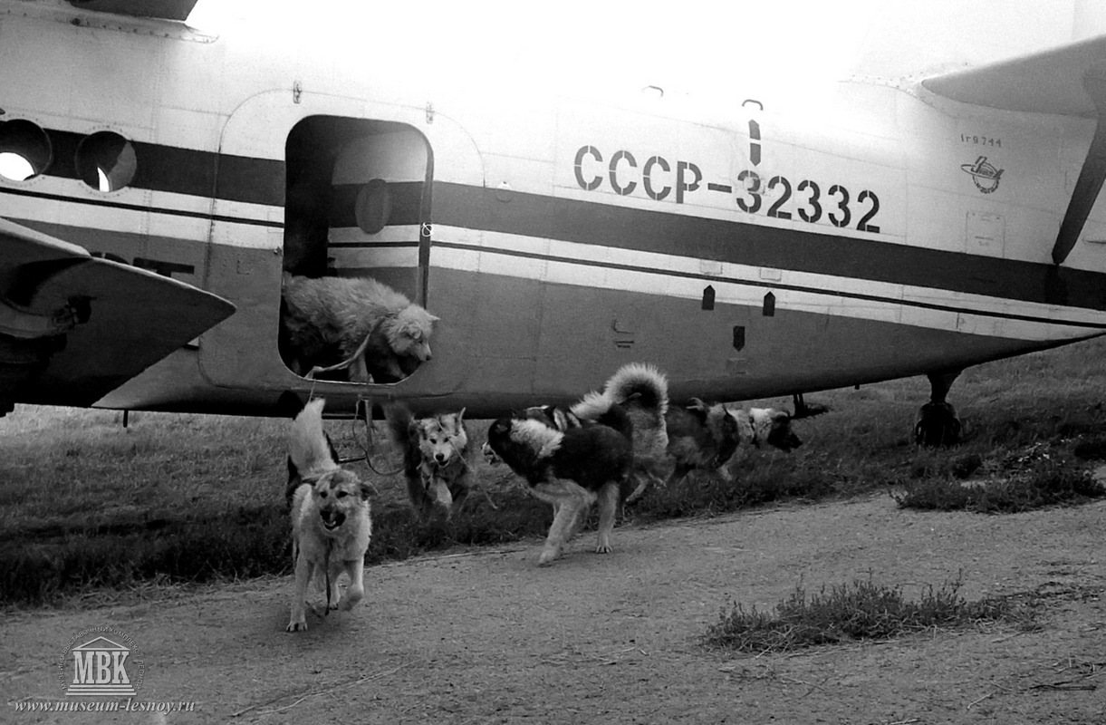 Участники Полярэкс, аэродром с. Таёжный, 1983 г. фото С.Е. Федоровского.